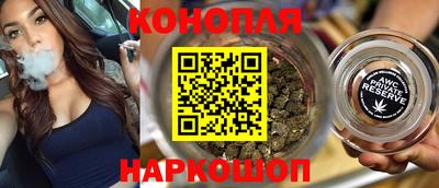 спиды Кингисепп