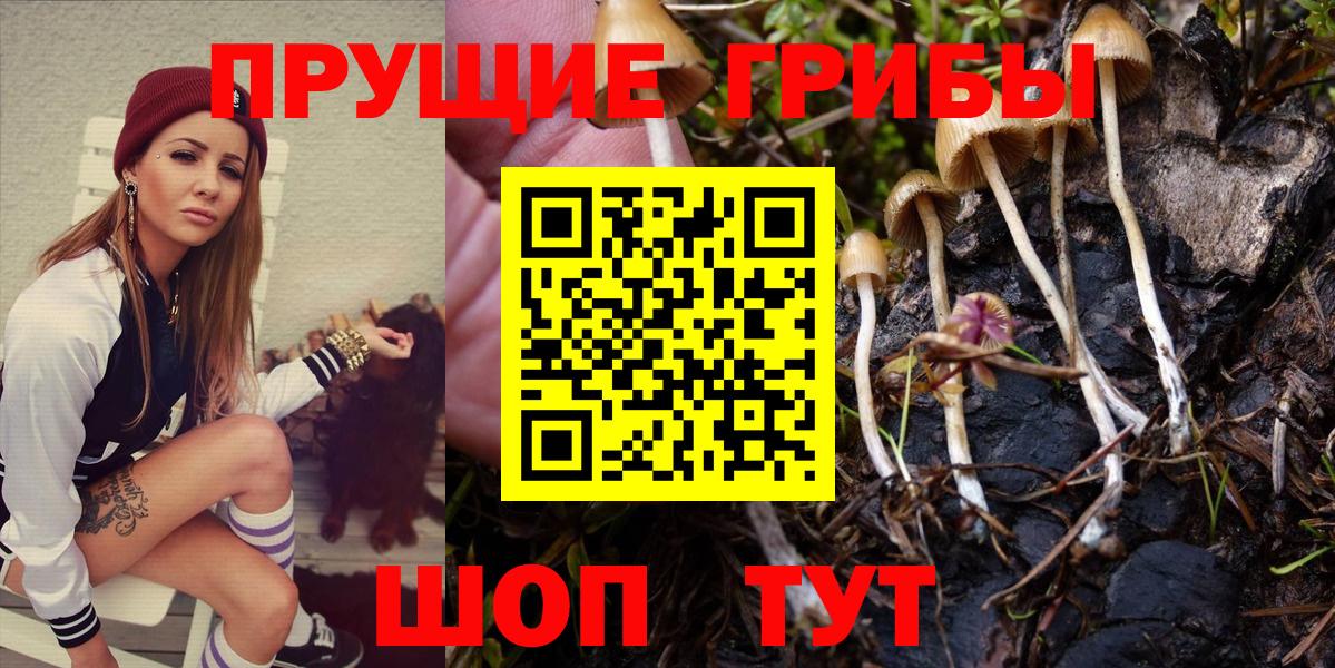 Галлюциногенные грибы ЛСД Калач-на-Дону